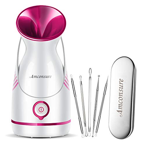 Amconsure Facial Steamer - Nano Ionic Facial Steamer Warm Mist Moisturizing Face Steamer Home Sauna SPA，Pores Cleanse Clear Blackheads Acne Impurities Skin Cares - 5 Piece Stainless Steel Skin Kit