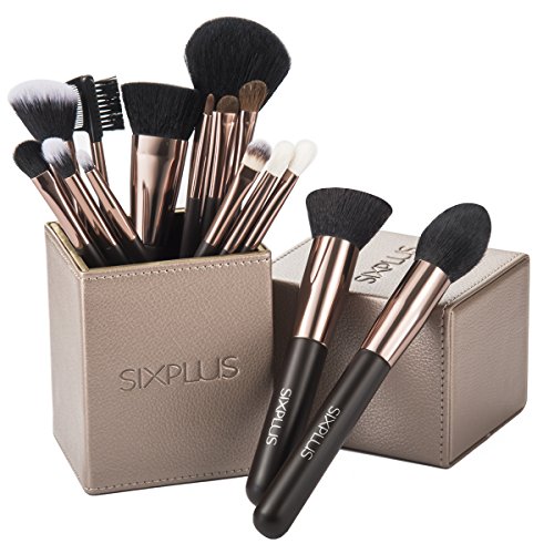 SIXPLUS 15pcs Coffee Makeup Brush Set with Makeup Holder (coffee)