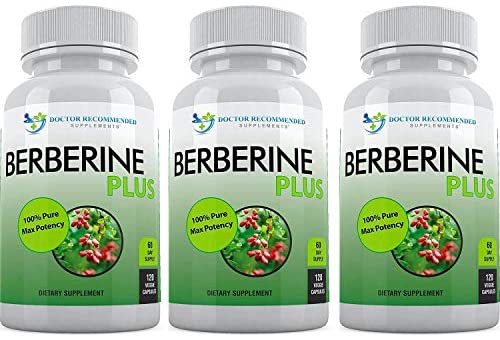 Berberine Plus, 1200mg Per Serving, Royal Jelly, Supports Glucose Metabolism, Healthy Immune System, Promotes Weight Loss, Improves Cardiovascular Heart (Pack of 3 - 360 Veggie Capsules )